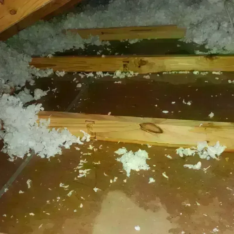 Attic Water Damage in Rancho Cordova, CA