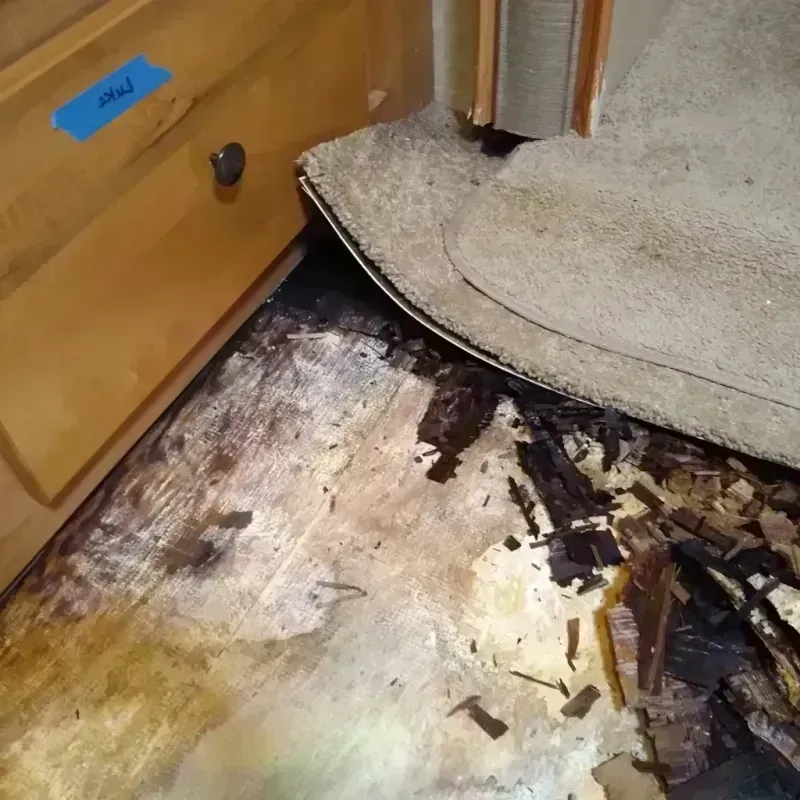 Best Wood Floor Water Damage Service in Rancho Cordova, CA